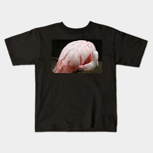 Greater Flamingo Preening #2 Kids T-Shirt
